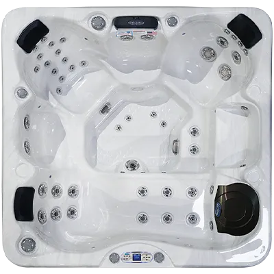 Avalon EC-849L hot tubs for sale in Richland