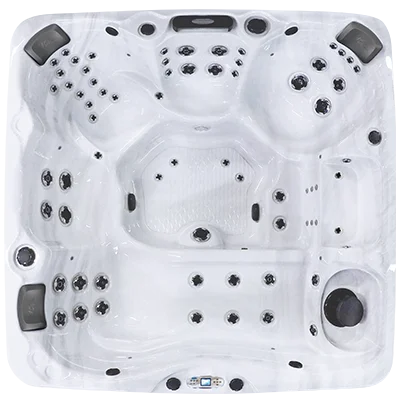 Avalon EC-867L hot tubs for sale in Richland